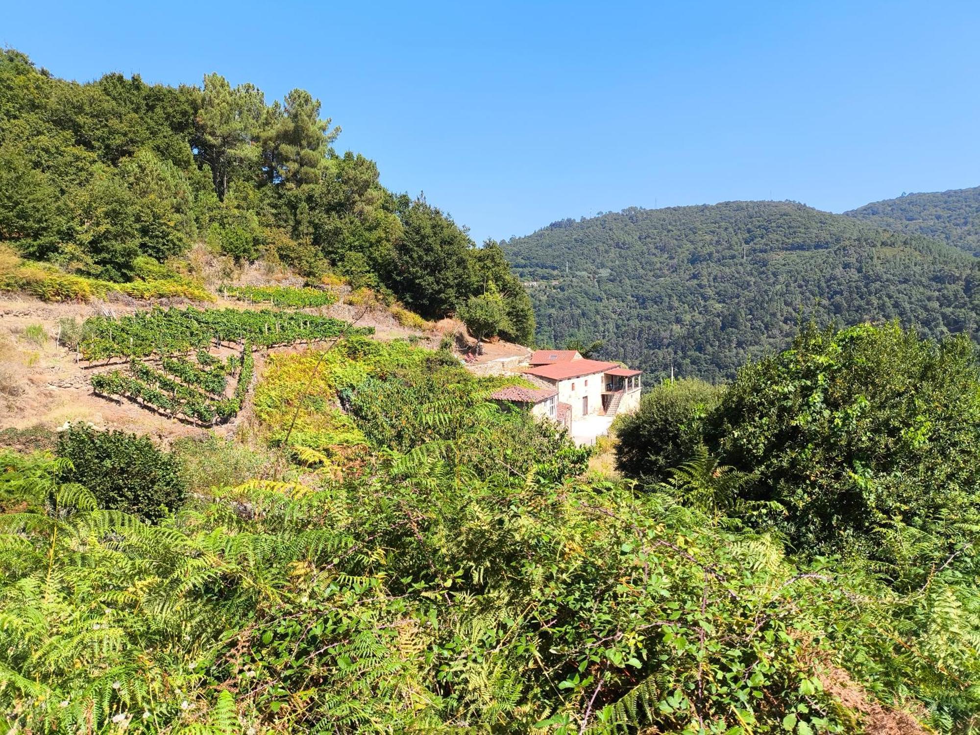 Xiravai-Ribeira Sacra Villa Peares Dış mekan fotoğraf