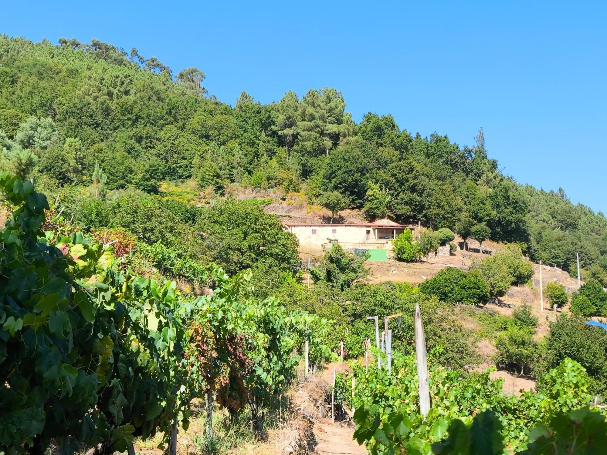 Xiravai-Ribeira Sacra Villa Peares Dış mekan fotoğraf